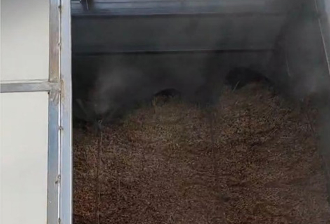 Công ty TNHH Tre và Gỗ Ningguo Kuntai