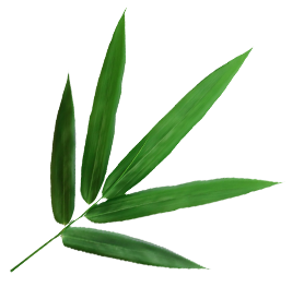 Công ty TNHH Tre và Gỗ Ningguo Kuntai